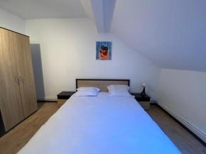 Steve Rooms
